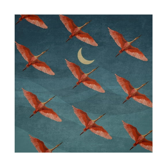 Trademark Fine Art Emel Tunaboylu  Leylek Surusu Canvas Wall Art