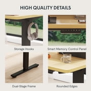 FlexiSpot 55x24 Electric Standing Desk with One-Piece Desktop, 2 Removable Drawers, Headphone Hook, 4 Height Memory Presets, 250lbs Capacity Ergonomic Sit Stand Desk with Monitor Stand