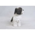 thumbnail image 5 of Hi-Line Gifts Shih Tzu Puppy Outdoor Garden Statue - 11", 5 of 5