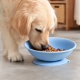 thumbnail image 3 of Elevated Dog Food Bowl, Wide Shallow Pet Bowl for Food and Water, Non-Slip Raised Feeding Bowl for Dogs, Puppies and Cats, 3 of 4