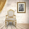 thumbnail image 3 of Taylor, Douglas 11x14 Gold Ornate Wood Framed with Double Matting Museum Art Print Titled - Agave Finale BW, 3 of 4