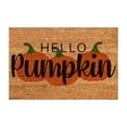 thumbnail image 1 of Halloween Autumn Welcome Pumpkin Welcome Crystal Velvet Mat Pumpkin Mat Thanksgiving Welcome Pumpkin Decorative Door Mat Household Mat Pumpkin Door Rug, 1 of 4