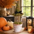 thumbnail image 4 of Byndra Halloween Witch Hat Topiary, Halloween Decorations Indoor Outdoor Rustic Farmhouse Decor, 8.7 Inch Plastic Moss Pot Tabletop Ornament for Tiered Tray, Mantel, Shelf, 4 of 7