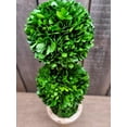 thumbnail image 2 of Preserved Boxwood 20" Double Ball Topiary, 2 of 3
