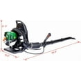 thumbnail image 2 of Historyli Backpack Leaf Blower Gas, 580CFM, Powered 4 Stroke 37.7cc, 1.5HP, Green, 2 of 7