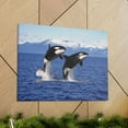 thumbnail image 6 of Funny Whale Silly Whale Scene Couple Wall Art Ready to Hang Unframed, 6 of 18