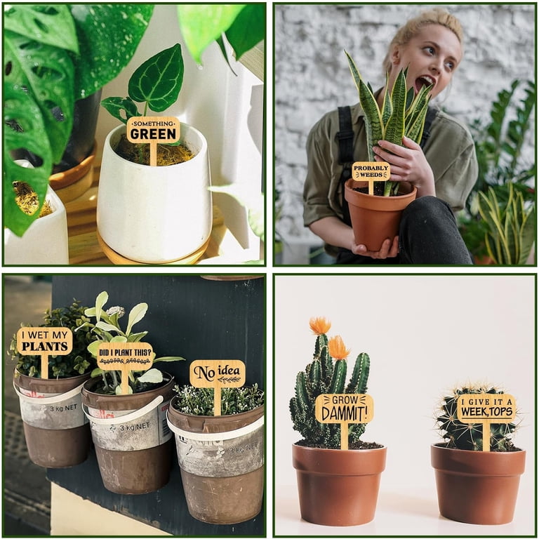 15Pcs Funny Plant Markers Wooden Garden Stakes T-Type Garden