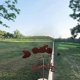 thumbnail image 3 of Weather vane made of black metal, garden weather vane, stainless steel, 3 of 5