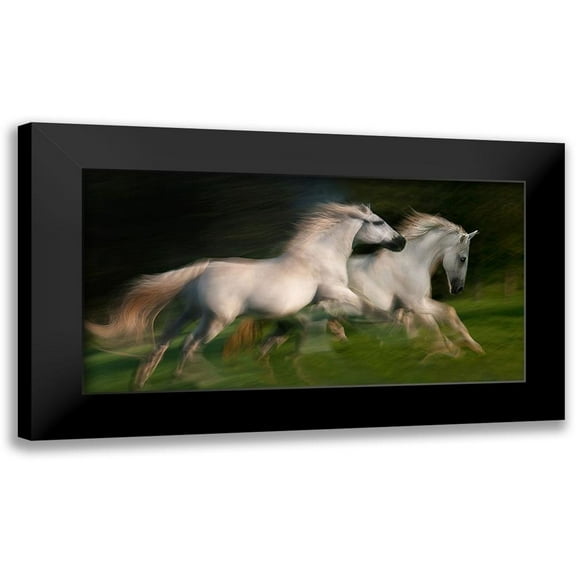 Malovrh, Milan 14x9 Black Modern Framed Museum Art Print Titled - gallop for two