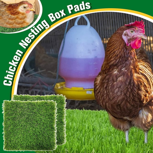 CBFFDC Tapis Réaliste pour Poulet 4 Pcs Tapis de Nidification Légers Réutilisables Confortables Durables Protection des Ufs pour Ferme