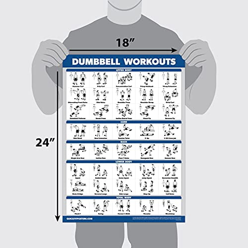 Laminated 2 Chart Set Dumbbell Workouts and Stretching Exercise Poster Set 