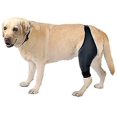 thumbnail image 1 of Férula Para Mascotas, Protección Para Piernas, Protección Para Piernas Postoperatorias, Soporte Para Dislocación De Rodilla Para Perros, Férula Para Rodillas Para Perros, 1 of 4