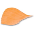 thumbnail image 2 of FolkArt Enamel Paint 2oz-Pure Orange, 2 of 2