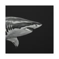 thumbnail image 3 of Great White Shark Rampage - Canvas, 3 of 25