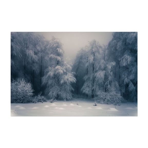 Frozen Forest - Bulgaria Photography Winter Forest Snow Nature Woodland Landscape Mystical Unframed Wall Art Print 4 x 6 inches