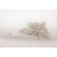 thumbnail image 3 of Dawson, Robert 14x11 Black Modern Framed Museum Art Print Titled - Lonely Days, 3 of 5