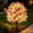 MulticolorB, variant on Artificial Flowers for Outdoors with Solar Lights, Fake Flowers for Garden Yard Patio, Lifelike UV Resistant Faux Plant Decor with Solar LED Light Strip & Ground Stake