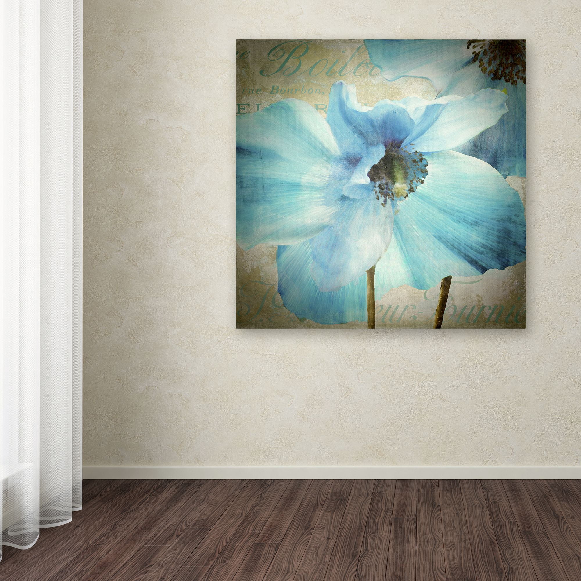 Trademark Fine Art "Himalayan Blue II" Canvas Art by Color Bakery