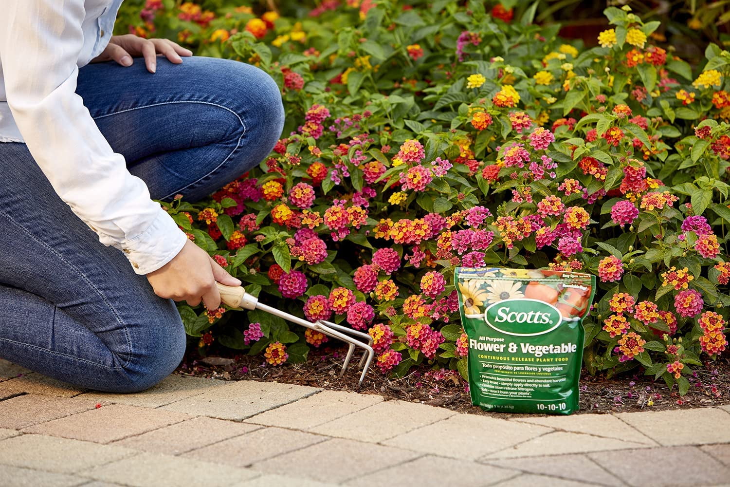 6-pack Scotts All Purpose Flower and Vegetable Plant Food Granules - Continuous Release - 6 Pack, 3 lbs — Outdoor & Indoor Plant Use, Easy Application