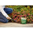 thumbnail image 4 of 6-pack Scotts All Purpose Flower and Vegetable Plant Food Granules - Continuous Release - 6 Pack, 3 lbs — Outdoor & Indoor Plant Use, Easy Application, 4 of 5