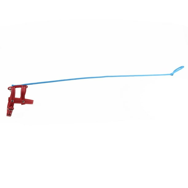 Funny Invisible Dog Practical Joke Pet Leash Prank Harness Stage Prop