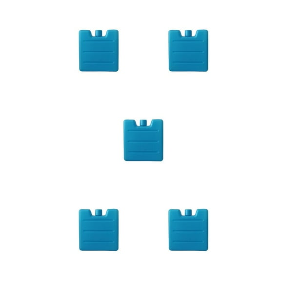 Toystoory caja de hielo reutilizable de plástico portátil de mantenimiento fresco paquete de congelador de carne senderismo bebida enfriador bloque Type2 NO2 Toystoory CBP274503