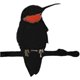 thumbnail image 1 of Silueta de colibrí de metal XCF para Decoración del hogar y jardín, 1 of 4