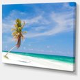 thumbnail image 2 of Palmier Solitaire en Coco à la Plage, 2 of 3