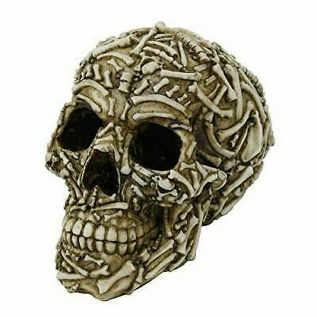 Ebros Ossuary Bone Skull Home Tabletop Decorative Resin Figurine