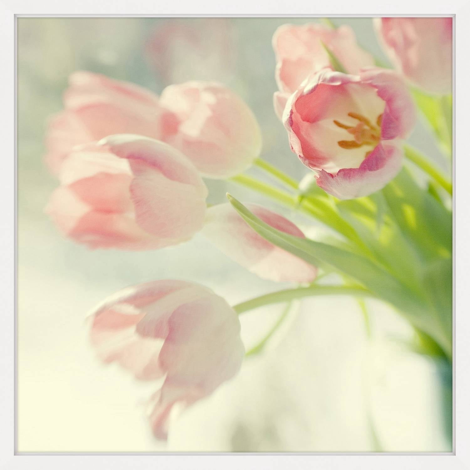 Pink Tulip Bouquet Framed Painting Print
