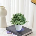 thumbnail image 5 of Elainilye Simulation Eucalyptus Potted Plant, 3 Pronged Artificial Greenery, Office Home Decor for Desk, Shelf, Table Centerpiece, 5 of 6