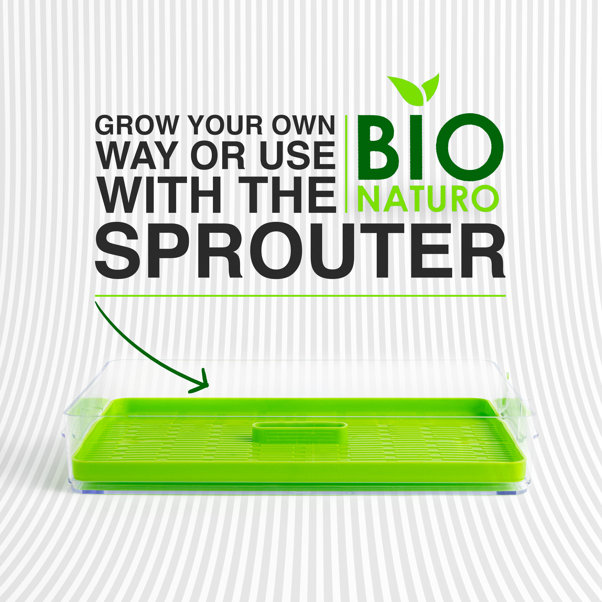 Bio Naturo Microgreens Sprouting Seeds (6 Pack), Organic Heirloom Non-GMO