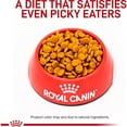 thumbnail image 2 of Canine Hydrolyzed Protein Puppy Dog Food 22 lbs., 2 of 2