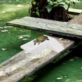 thumbnail image 3 of OUNONA Réservoir pour Reptiles Terrasse Blanc ABS Réservoir d'Exposition au Soleil Environnement 1ensemble, 3 of 8