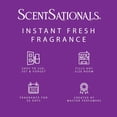 thumbnail image 4 of Scentsationals Plug in Air Freshener Starter Set – Swivel Plug Fragrance Oil Diffusers & 2 Long Lasting Scent Refills - Magic Spell, 4 of 5