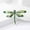 Green, variant on Fashion Blue Rhinestone Dragonfly Brooch - Classic Enamel Insect Pin, Zinc Alloy, Not Washable - Perfect Fashion Accessory and Gift for Women