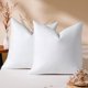 thumbnail image 1 of ZHENYAN18x18 Pillow Inserts Set of 2, Natural Feather Down Pillows with 100% Cotton Cover, Throw Pillow for Bed, Couch and Sofa., 1 of 1