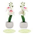 thumbnail image 3 of Lot de 1 Aimant de Réfrigérateur en Forme de Plante Multicolore pour Décoration Intérieure Accessoires de Réfrigérateur, 3 of 8