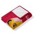thumbnail image 3 of Disney Lion King Lion Heart Kids Silk Touch Throw Blanket, 3 of 6