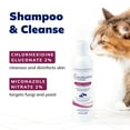 thumbnail image 5 of CeraSoothe® CHX+MC Antiseptic Shampoo 16oz, 5 of 7