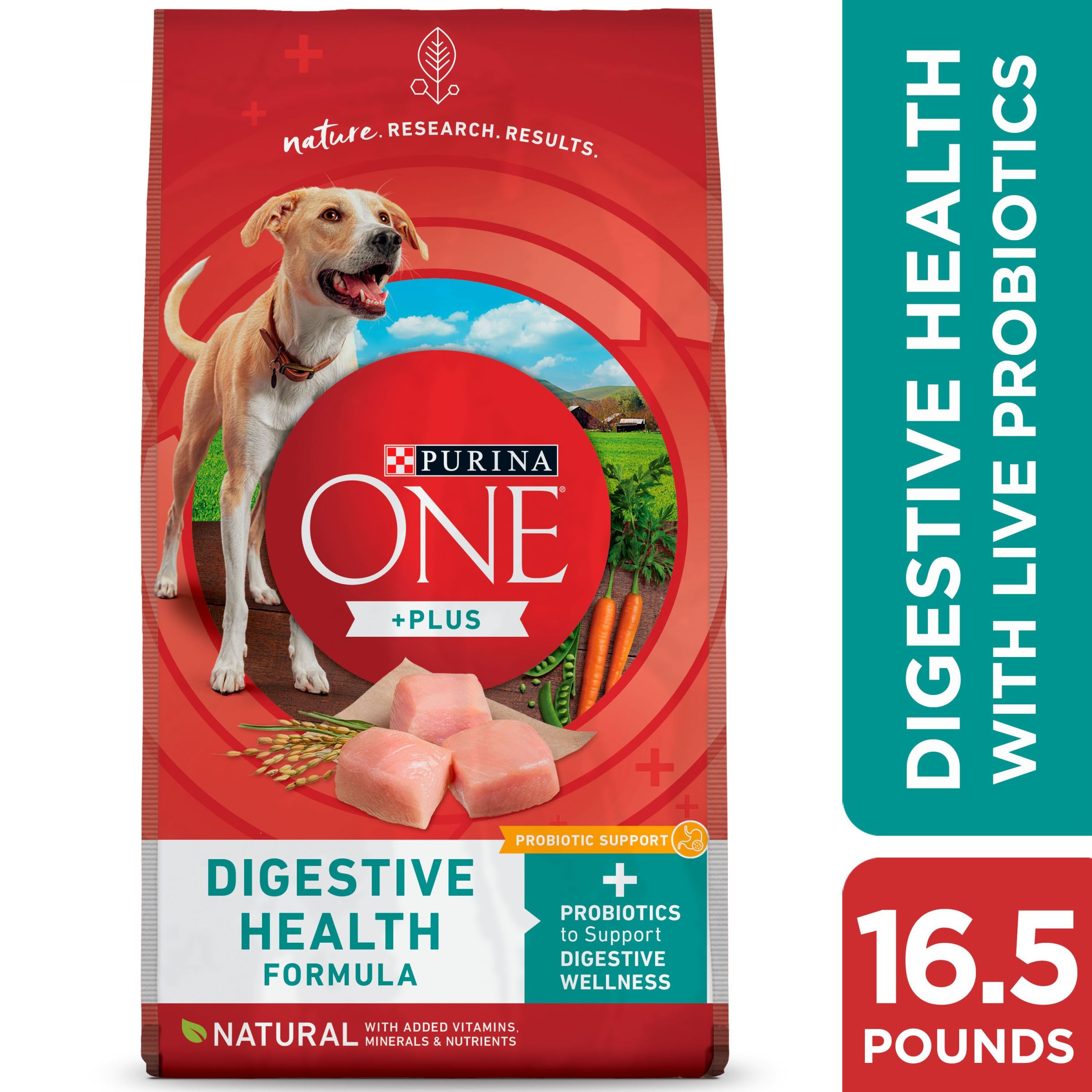 Navigating Puppyhood Tummies: Choosing the Right Dry Food for Digestive Health