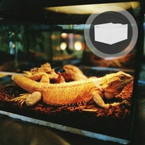 FRCOLOR Transparent Acrylic Reptile Box Climbing Pet Feeding Container Ideal for Turtles Snakes Large Space