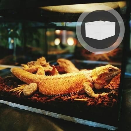 FRCOLOR Transparent Acrylic Reptile Box Climbing Pet Feeding Container Ideal for Turtles Snakes Large Space