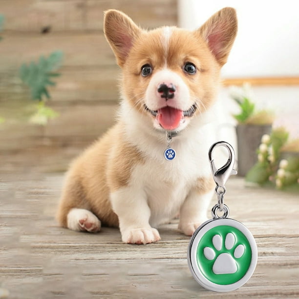 Personalized pet tags walmart 2025