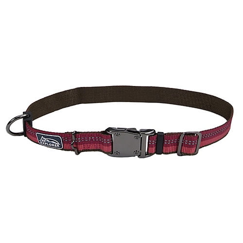 Coastal Pet 46984 B RPS04 Reflective Leash Red 1-Inch