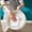 White1#, variant on Uuiauoio Makeup Perfume Organizer Tray 360 Degree Rotating Lazy Skincare Lotion Organizer Spinning Cosmetics Storage for Dresser, Vanity, Bathroom Countertop