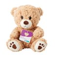 thumbnail image 1 of Parent's Choice Stage 1 Bear Buddy, 1 of 1