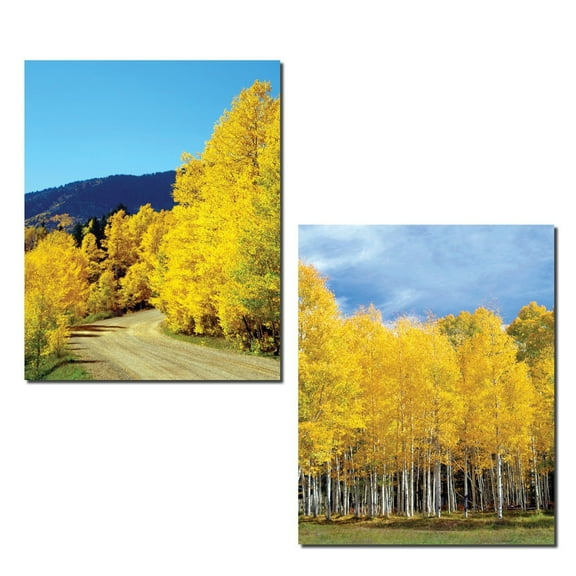 Gorgeous Autumn Yellow Aspen Tree Photograph Prints; Two 11x14in Poster Prints