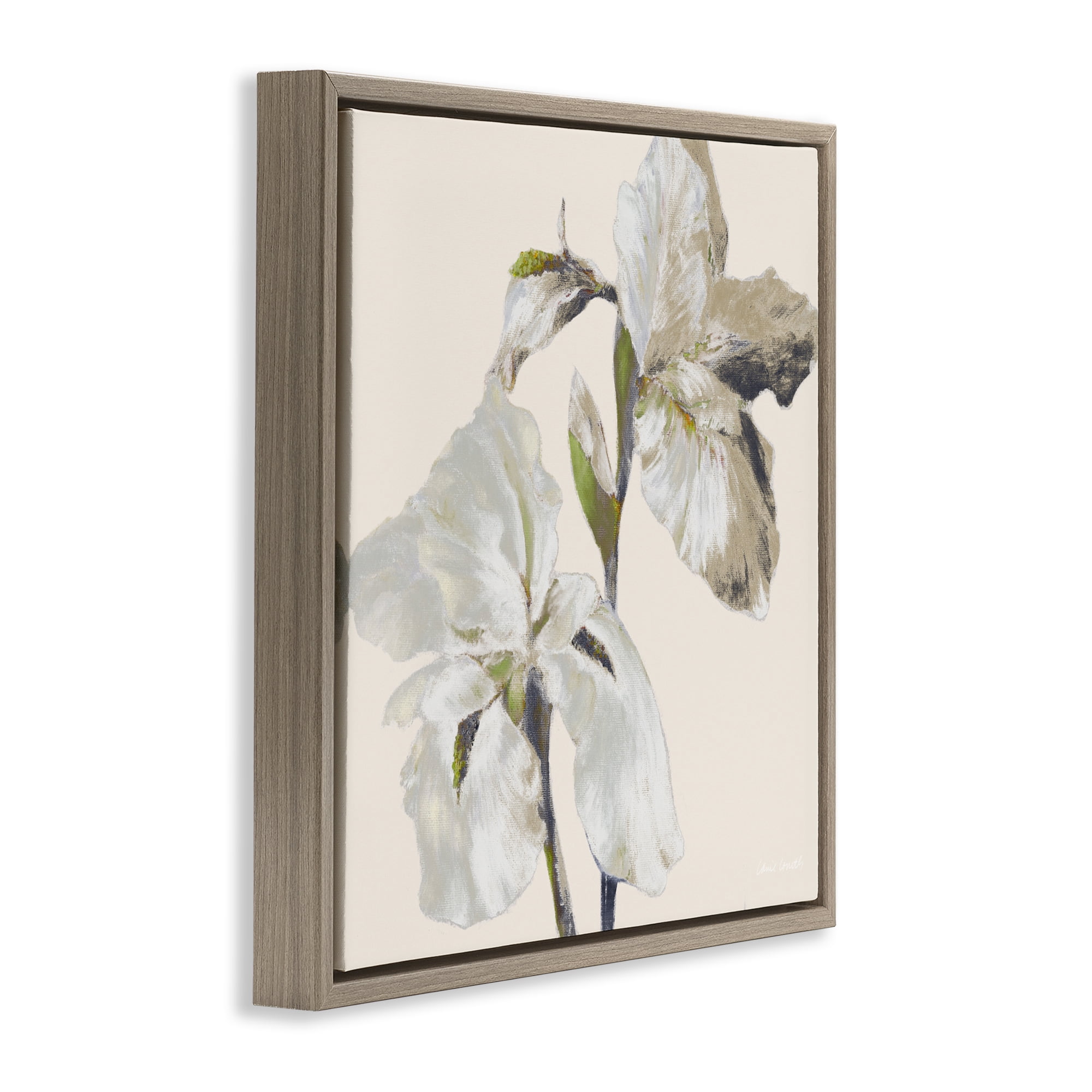 Stupell Industries Irises Soft Beige Brown Framed Floater Canvas Wall Art, design by Lanie Loreth
