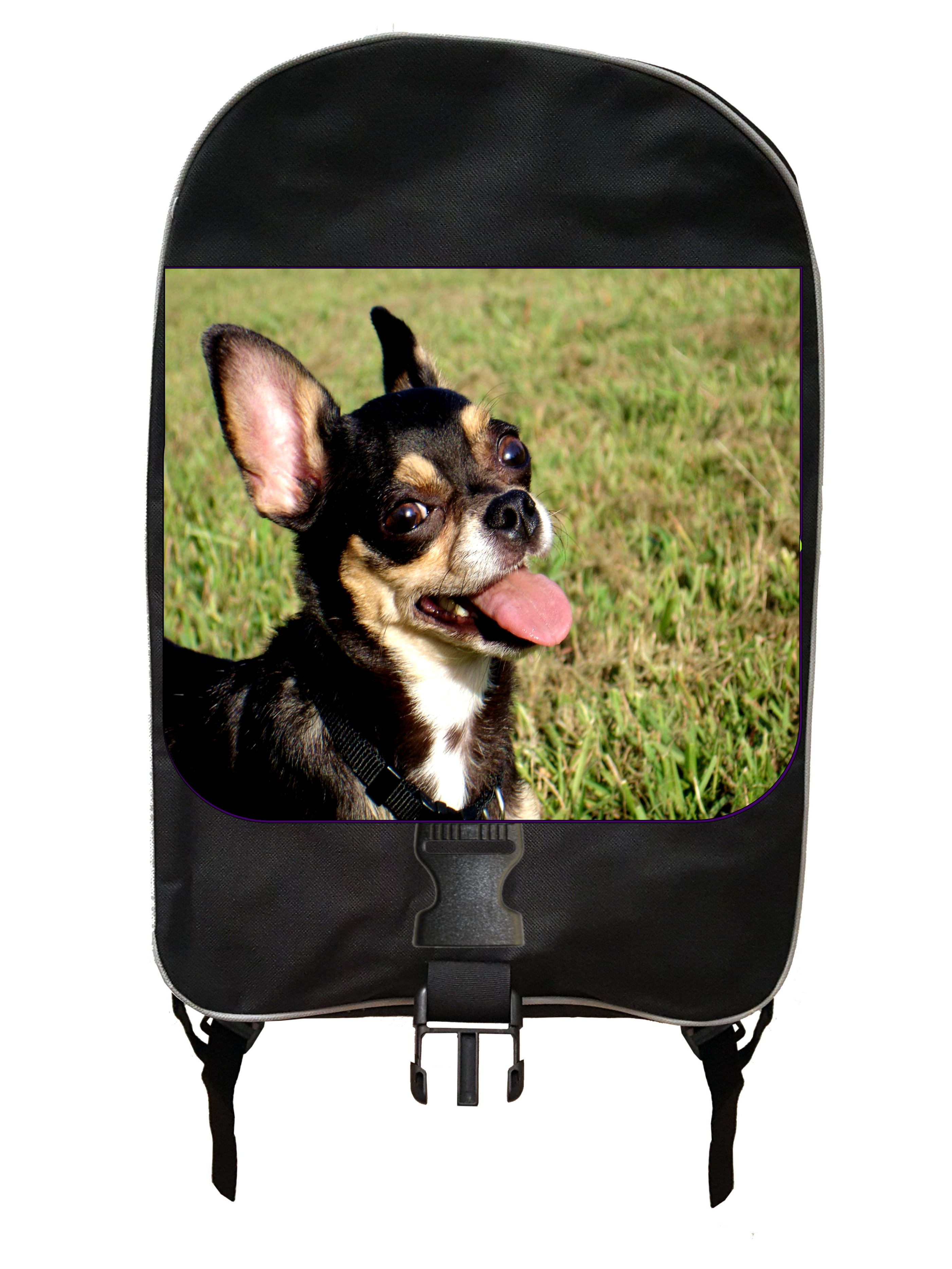 chihuahua backpack